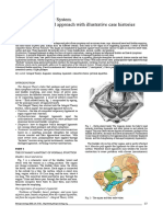 Teoria Integral Petros