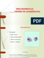 Trichomonas Plasmodium Leishmania