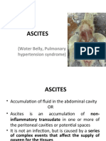 Ascites: (Water Belly, Pulmonary Hypertension Syndrome)