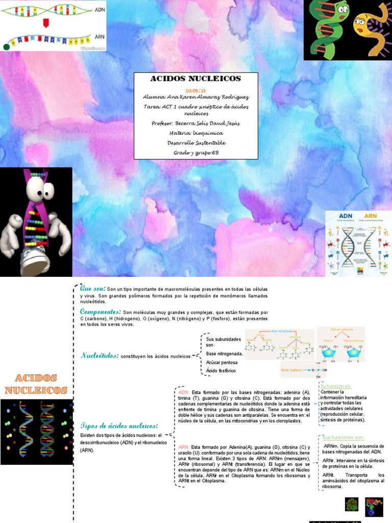 Estructura y Función de Ácidos Nucleicos | PDF | Rna | Ácidos nucleicos