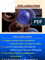 Acute and Chronic Inflammation