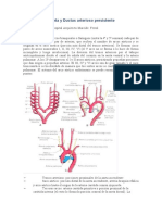 Coartación de Aorta y Ductus Arterioso Persistente