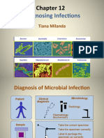 Diagnosing Infections: Tiana Milanda