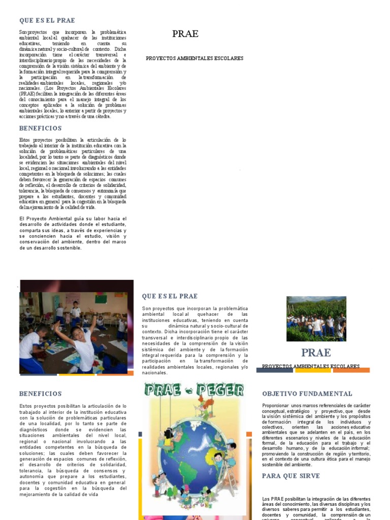 Proyectos Ambientales Escolares (PRAE) | PDF | Institución ...