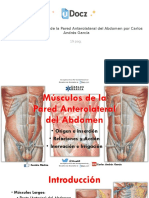 Anatomia Musculos de La Pared Anterolateral Del Abdomen Por Carlos Andres Garcia 1 Downloable