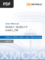 NetNumenU31 GPON NBI Manual For TL1 | PDF | Computer Network