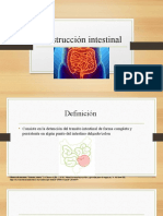 Obstrucción Intestinal