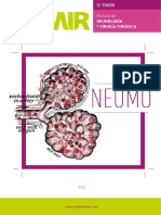 MANUAL_AMIR_DE_NEUMOLOGÍA_Y_CIRUGÍA_TORÁCICA_12°_EDICIÓN