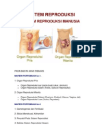 Sistem Reproduksi