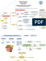 Tarea de Cavidad Nasal