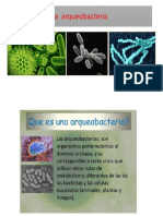 La Arqueobacteria