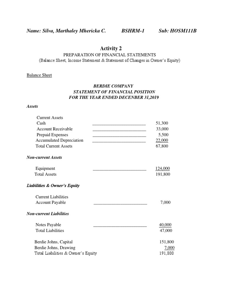 Berdie Company Financial Statements 2019 | PDF | Balance Sheet | Expense