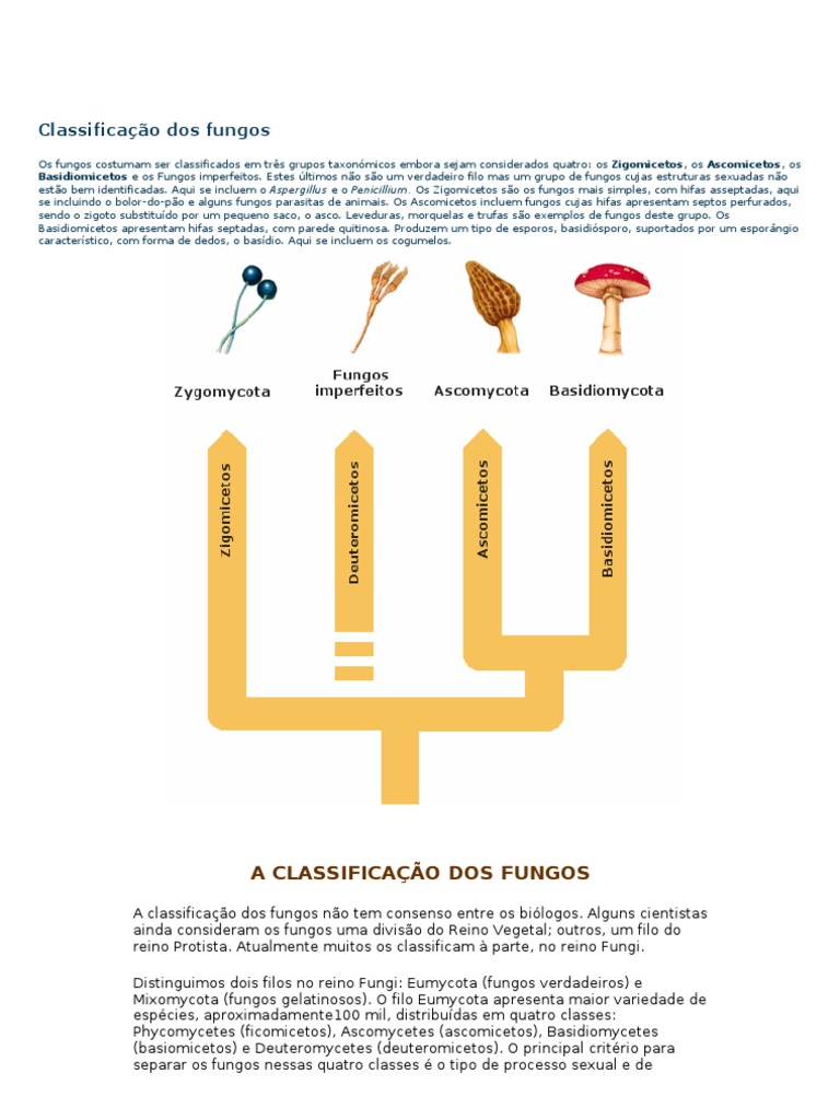 classifica-o-dos-fungi-e-seus-filos-pdf-fungo-eucariotas
