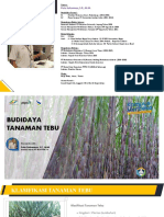 Budidaya Tebu UNSRI, Ed Putu