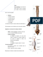 Generalidades Columna Vertebral