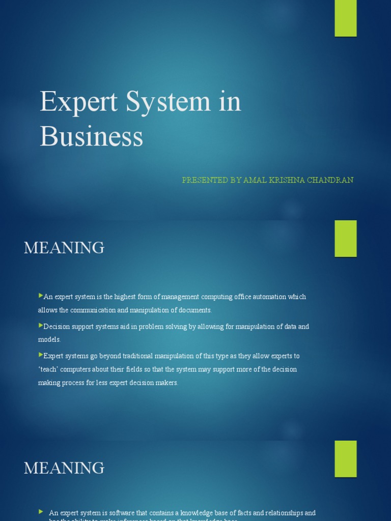 Expert System in Business PDF Expert System