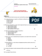 Test Evaluare Prelucrarea Lemnului