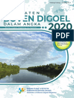 Boven Digoel Dalam Angka 2020