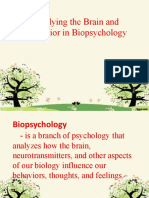 Studying The Brain and Behavior in Biopsychology