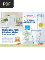 Brochure Alkaline Hydrogen