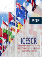 Icescr: International Covenant On Economic, Social and Cultural Rights
