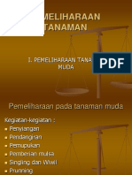 Adoc - Pub - Pemeliharaan Tanaman I Pemeliharaan Tanaman Muda