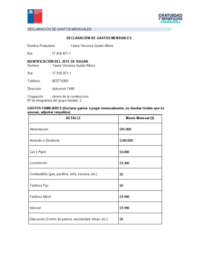 Declaracion de Gastos Mensuales | PDF