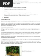 Atividade Ecossistema Presa e Predador