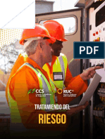 Programas de Gestión Del Riesgo