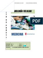 Guía Práctica Semana 14. Diferenciación Celular - E. MARÍN - 2021-2