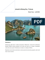 Geoturismul in Halong Bay