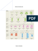 Aa - Pur vs. Pyr - Dna vs. Rna