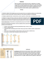 Fracturas óseas: clasificación, mecanismos y factores que influyen en la reparación