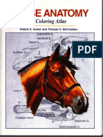 Horse Anatomy--A Coloring Atlas (1998).pdf · versión 1