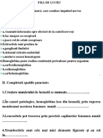 Fisa de Lucru Curs 6 Tesutul Nervos, Sangele PDF