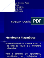 Colégio Estadual Severino Vieira, slide membrana