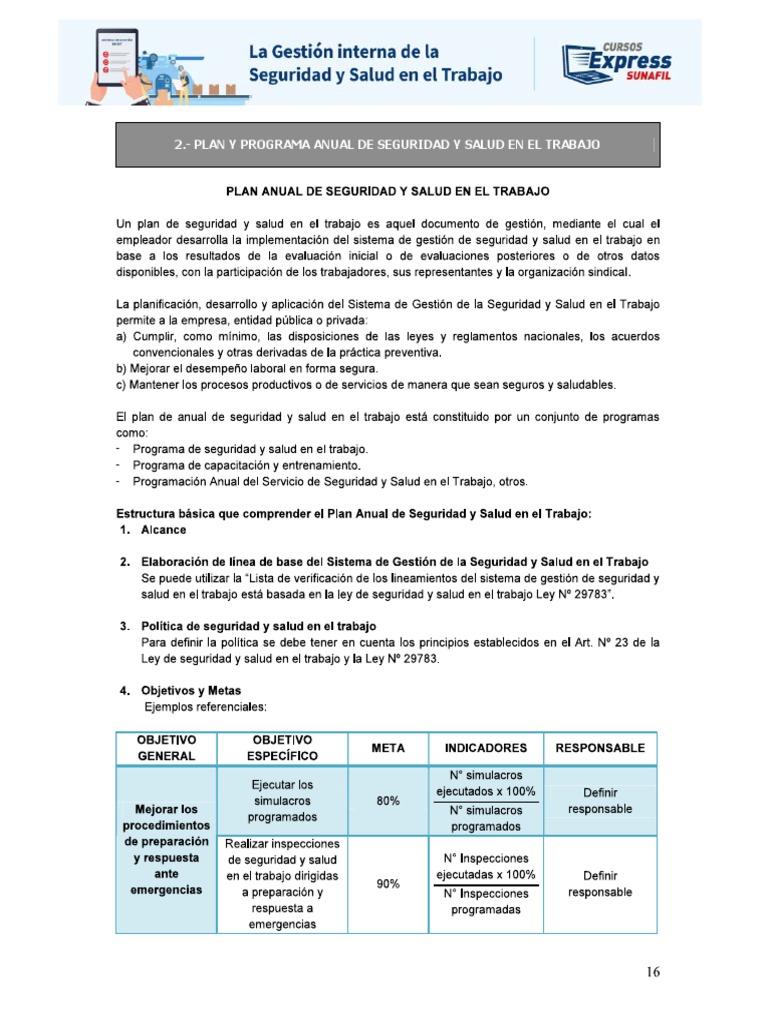 Plan y Programa Anual de Seguridad y Salud en El Trabajo | PDF