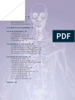 L`Anatomie Humaine Ou Le Mystère Du Corps Humain