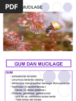 Download Gum Dan Mucilage by diasayu SN54666281 doc pdf