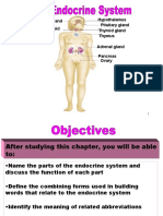 The Endocrine System: Pituitary Gland Hypothalamus Pineal Gland Parathyroid Gland