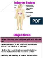 The Endocrine System: Structure, Function and Disorders