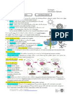 Summary Unit 5