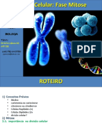 Aula Divisão Celular