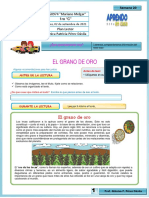 Plan Lector El Grano de Oro