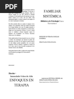 Enfoques en Terapia Familiar Sistémica