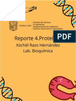 Reporte 4.proteinas