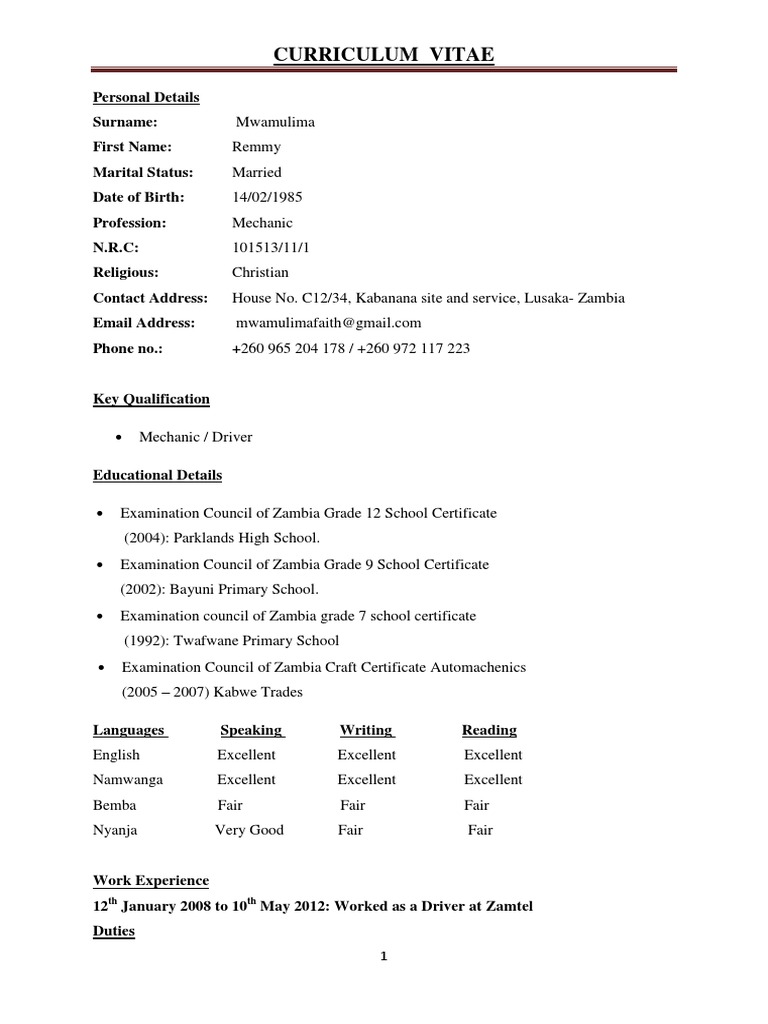 Curriculum Vitae TH TH PDF Zambia Communication