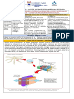 EDA N9 4A SEM3 EXPLICAMOS EL FUNCIONAMIENTO DE LAS CELULAS DE LAS PLANTAS EN LA DESCONTAMINACION DEL SUEL0-Recuperado-automáticamente