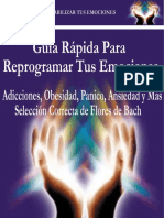 Guiarapidaemociones