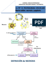 Clase V (Tema 2) Patologia General Uncaus